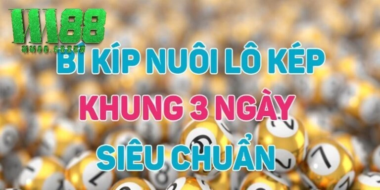 Các loại lô kép khung 3 phổ biến được sử dụng thường xuyên hiện nay