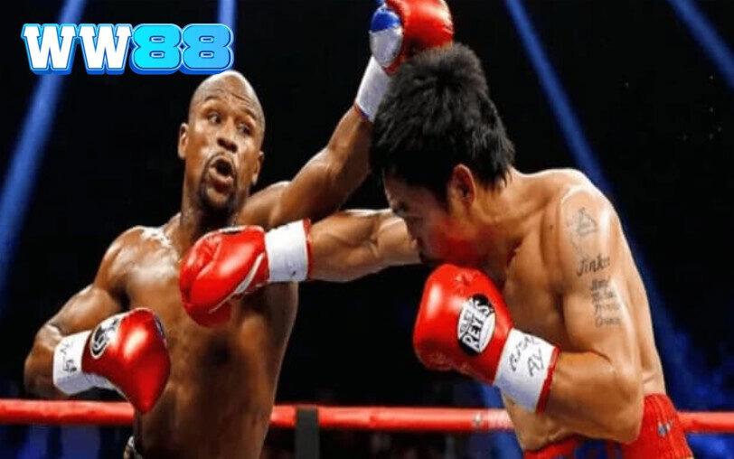 Các hình thức đặt cược có trong cá Cược Boxing