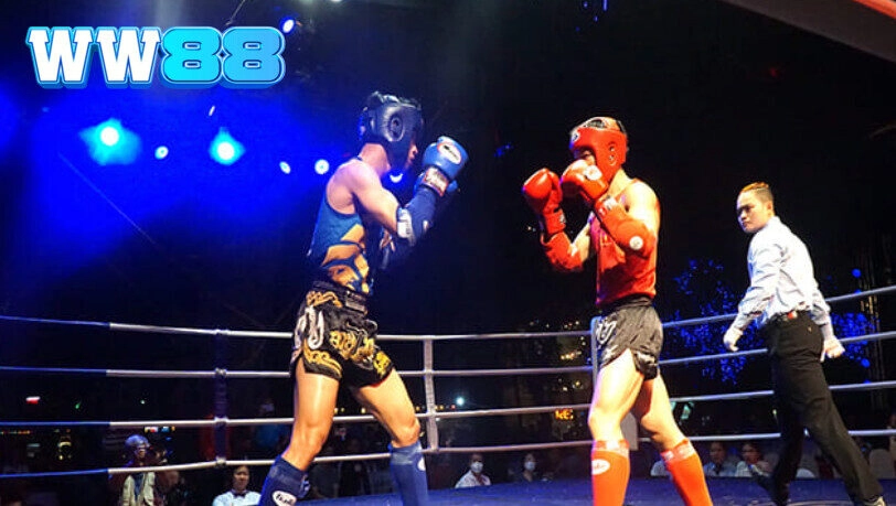 Mẹo Cược Boxing luôn thắng